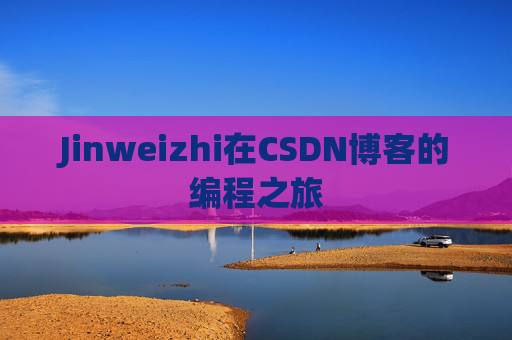 Jinweizhi在CSDN博客的编程之旅